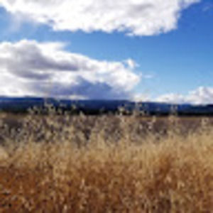 Meet your Posher, Teerah